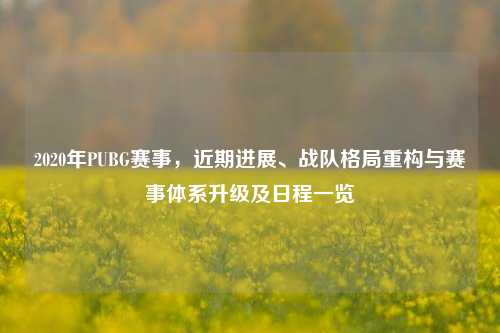 2020年PUBG赛事，近期进展、战队格局重构与赛事体系升级及日程一览