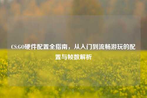CS:GO硬件配置全指南,从入门到流畅游玩的配置与帧数解析