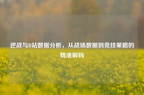 逆战与B站数据分析,从战场数据到竞技策略的精准解码