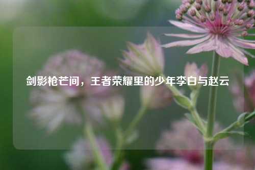 剑影枪芒间,王者荣耀里的少年李白与赵云