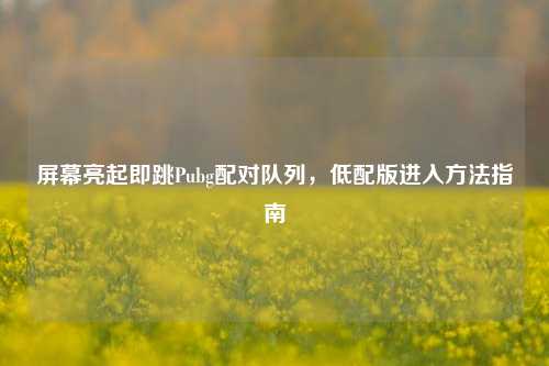 屏幕亮起即跳Pubg配对队列,低配版进入方法指南
