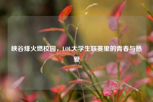 峡谷烽火燃校园,LOL大学生联赛里的青春与热爱