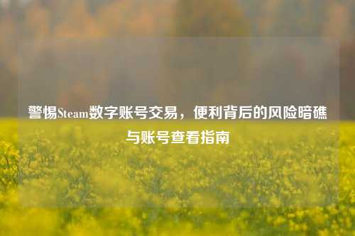 警惕Steam数字账号交易,便利背后的风险暗礁与账号查看指南