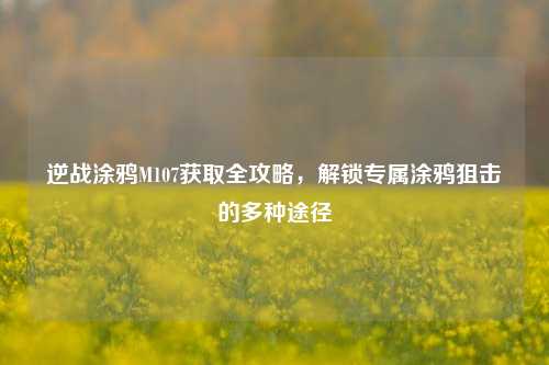 逆战涂鸦M107获取全攻略,解锁专属涂鸦狙击的多种途径