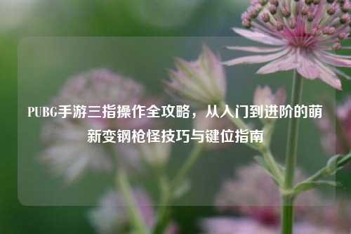 PUBG手游三指操作全攻略,从入门到进阶的萌新变钢枪怪技巧与键位指南