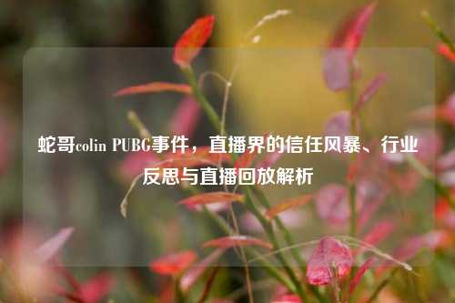 蛇哥colin PUBG事件,直播界的信任风暴、行业反思与直播回放解析