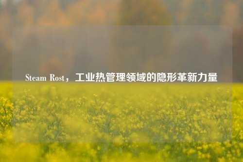 Steam Rost,工业热管理领域的隐形革新力量