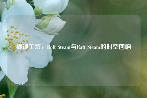 雾锁工坊,Roft Steam与Raft Steam的时空回响