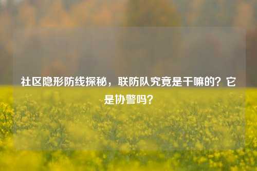 社区隐形防线探秘,联防队究竟是干嘛的?它是协警吗?