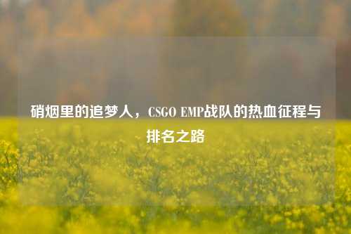 硝烟里的追梦人，CSGO EMP战队的热血征程与排名之路